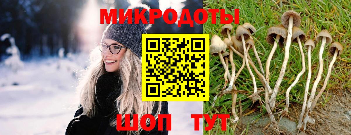 Псилоцибиновые грибы Psilocybine cubensis  Псилоцибиновые грибы мухоморы  Вход с VPN  Фрязино 