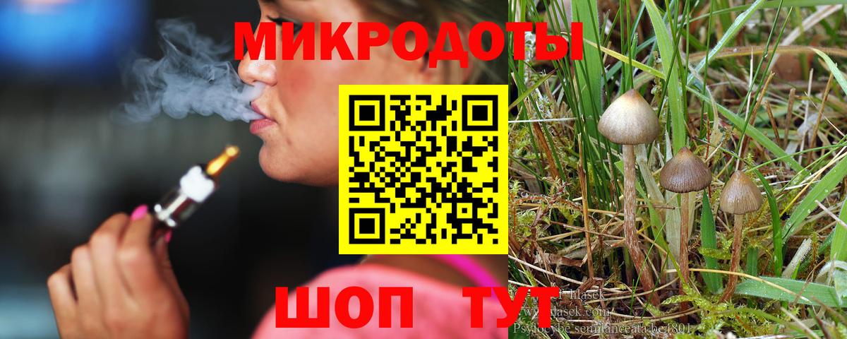 Псилоцибиновые грибы GOLDEN TEACHER Фрязино